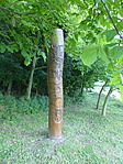 P1050565