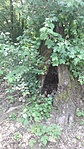 20200724_090327