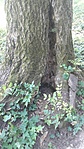 20200723_130553