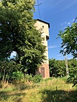 IMG_7447
