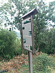 IMG_20200713_131702