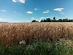 IMG_20200715_130310