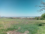 IMG_20200422_111452