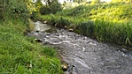 IMG_20200704_184130[1]