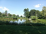 IMG_20200701_155005