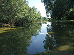 IMG_20200701_155859
