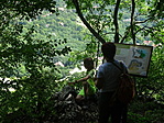 DSC00530