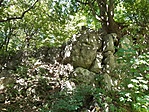 20200709_152411[1]