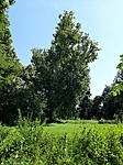 20200715_105115