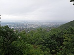 20200718_073629