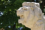 IMG_4138_1