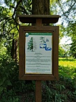 IMG_20200715_104339