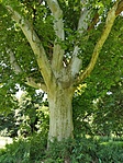 IMG_20200715_104439
