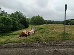 IMG_20200719_095034