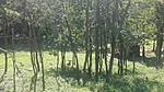 IMG_20200701_104833