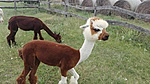 IMG_20200703_113255