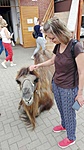 IMG_20200703_121313