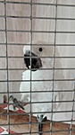 IMG_20200703_122446