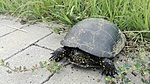 IMG_20200703_141749