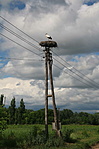 IMG_7171
