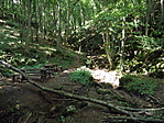 P7246550