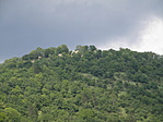 P7246555
