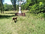 IMG_20200701_112456