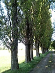 IMG_20200701_114455
