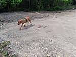 IMG_20200701_151619