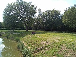 IMG_20200701_151503