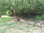 IMG_20200701_151607