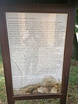 IMG_20200716_122541