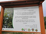 IMG_20200717_083310