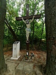 IMG_20200717_084503