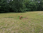 IMG_20200719_115020