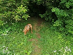 IMG_20200719_115252