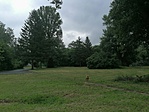 IMG_20200719_115622