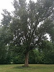 IMG_20200719_114926