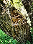 IMG_20200702_120905