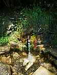 IMG_20200702_121058
