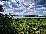 IMG_20200713_122019