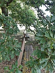 Somosságos-3