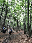 IMG_20200726_132218