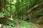 HER_1839_tn
