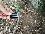 IMG_20200703_151558