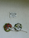 P1560557