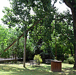 P1560560p