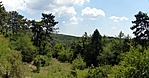 P1210025p