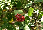 P1210048