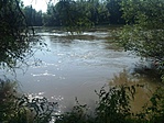 Dráva